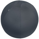 Leitz Ergo Cosy Active Sitting Ball Velvet Grey 52790089 DD